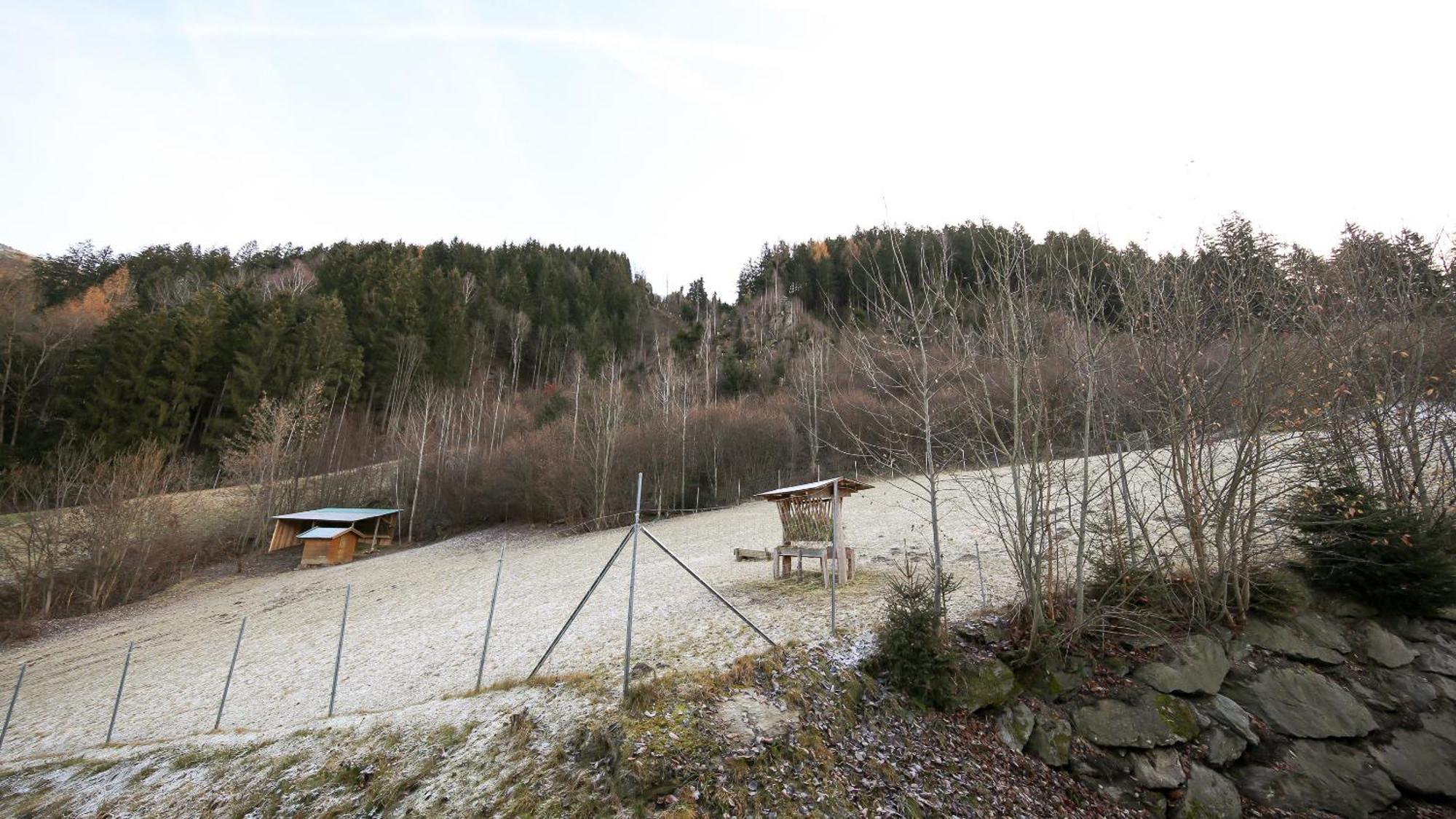 Hochfeldhof Apartman Zell am Ziller Szoba fotó